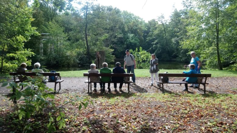 Menschen auf Bänken, im herbstlichen Park, von Bäumen umgeben.