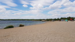 Nordstrand Cospudener See mit Bäumen im Hintergrund.