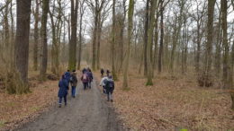 Wanderer auf dem Weg durch den Wald.