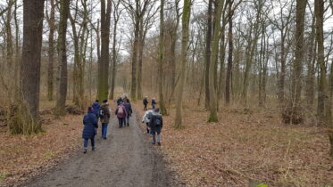 Wanderer auf dem Weg durch den Wald.