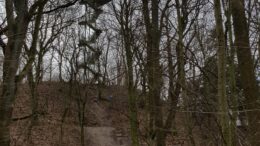 Der Aussichtsturm im Rosental erhebt sich im Hintergrund. Im Vordergrund stehen viele kahle Bäume.