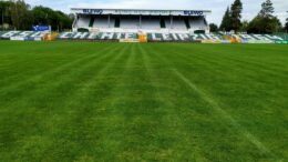Grüner Rasen vor Tribüne mit grün-weißen-Sitzplätzen.