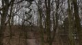 Der Aussichtsturm im Rosental erhebt sich im Hintergrund. Im Vordergrund stehen viele kahle Bäume.