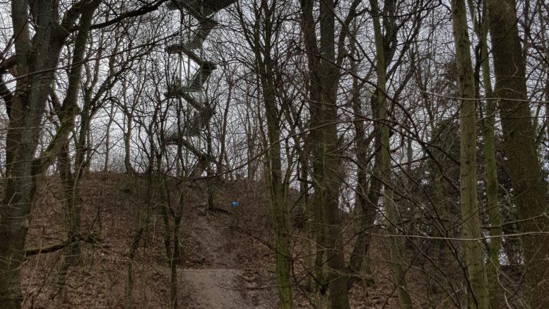 Der Aussichtsturm im Rosental erhebt sich im Hintergrund. Im Vordergrund stehen viele kahle Bäume.