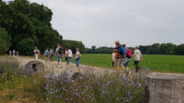 Wandergruppe auf Wanderweg unterwegs.