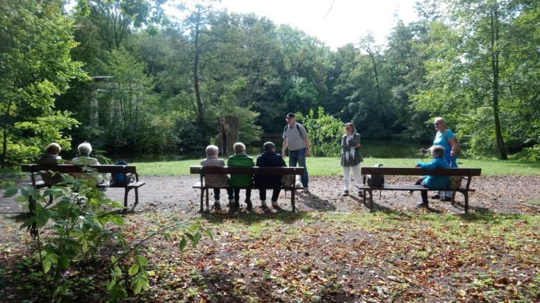 Menschen auf Bänken, im herbstlichen Park, von Bäumen umgeben.