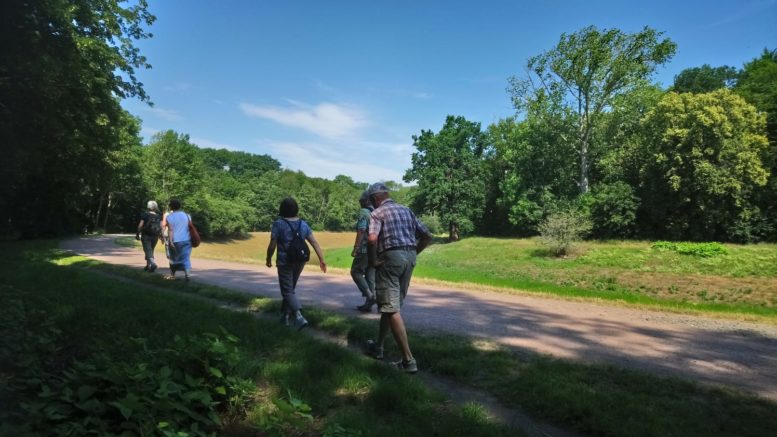 Menschen wandern auf einem Weg im Grünen mit Abstand zueinander.